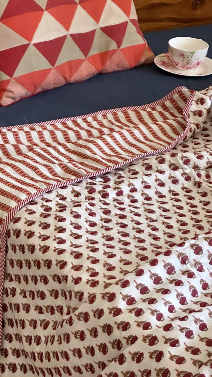 Reversible Mul Cotton Dohar Single(Pair) - Image 4