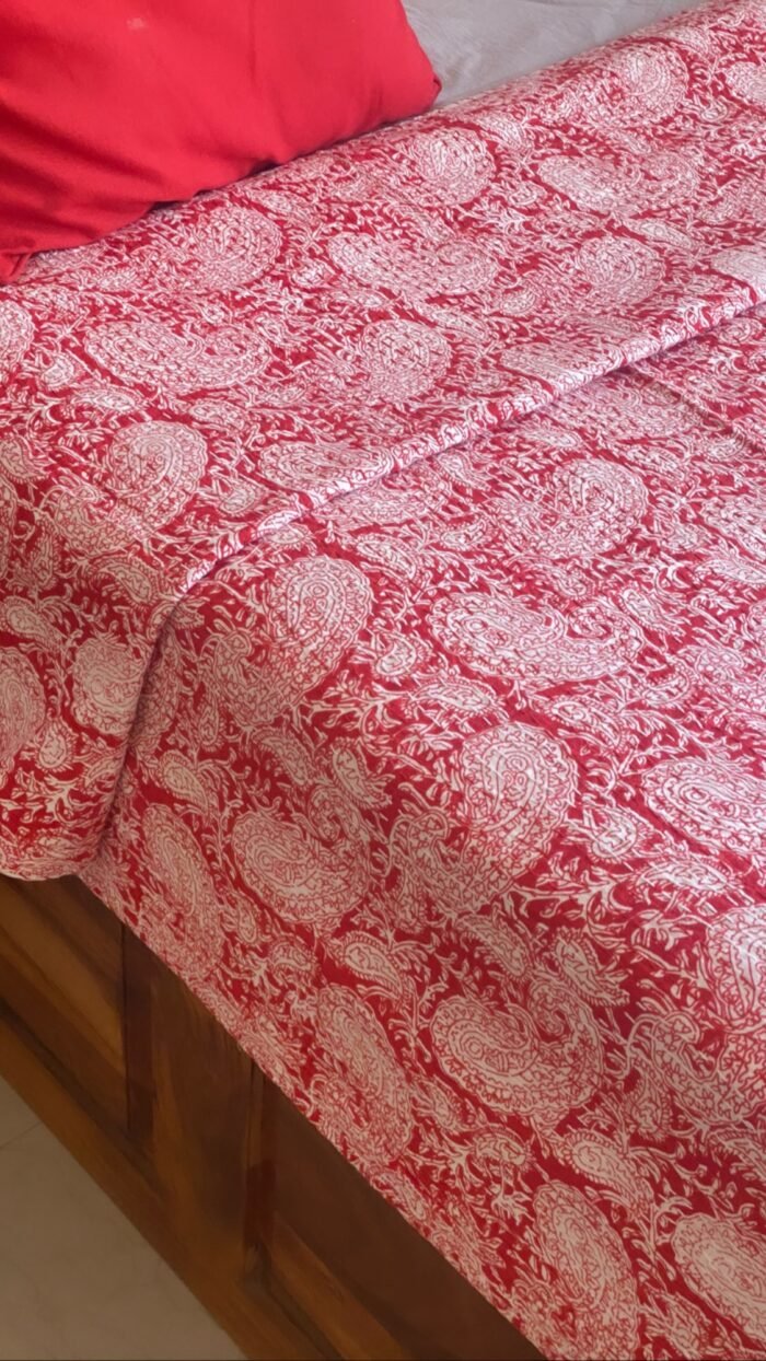 Kantha Bedcover-Double Bed - Image 4