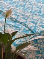 Kantha Bedcover-Double Bed - Image 2