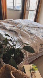 Sage Serenity Handblocked Quilt Set