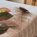 Palash Premium Super King Size Bedsheet